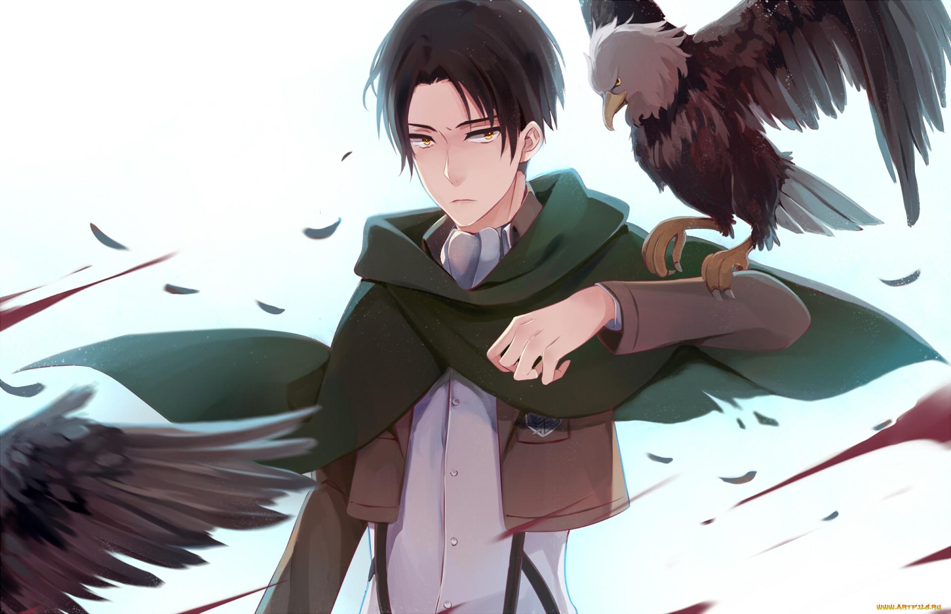, shingeki no kyojin, , , 